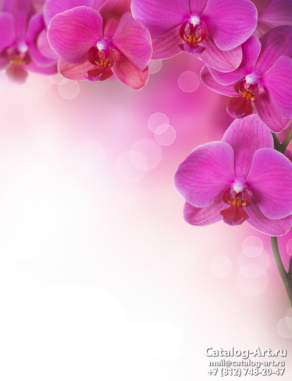 картинки для фотопечати на потолках, идеи, фото, образцы - Потолки с фотопечатью - Розовые орхидеи 2